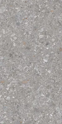 Immagine prodotto di CASA39 Gres porcellanato effetto pietra Grigio 30x60 cm Rondine Gravelux