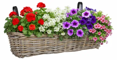 Produktbild von Hangekorb fur Pflanzen - 60 x 19 x 15 cm - geflochten - hangendes Gelander Pflanzgefas - Halterungen