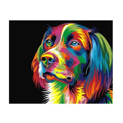 Produktbild von Malen-nach-Zahlen mit einem Rahmen Gemälde - Bunter Hund 50 x 40 cm
