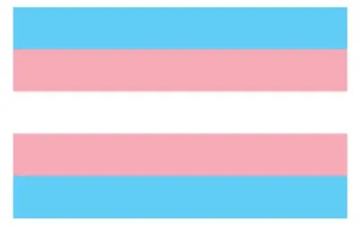 Produktbild von Trans Flag Aufkleber / Sticker 5.0 x 7,6 cm (12er Pack)