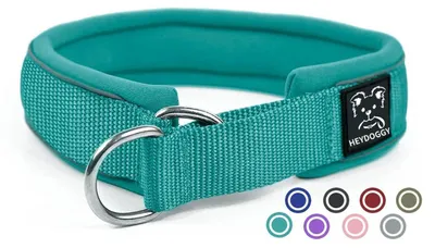 Image de Collier pour chien en néoprène, rembourré, réfléchissant, avec arrêt de traction, couleur vert, taille M, longueur 43-51 cm