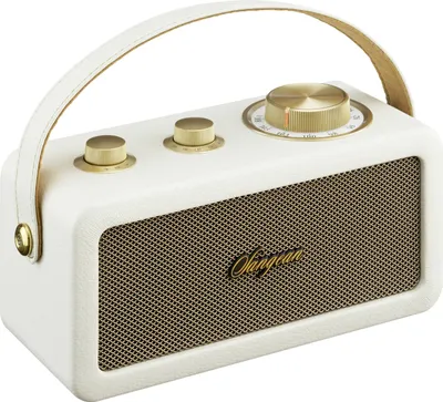 Produktbild von SANGEAN RA-101 Akku-Radio FM Bluetooth®, AUX wiederaufladbar Ivory, Gold