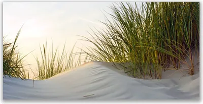 Produktbild von Tulup Leinwand-Bilder 120x60 Wandbild Canvas Kunstdruck Sand Gras Landschaft