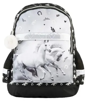 Immagine prodotto di Plecak PP24KE-116 - PASO