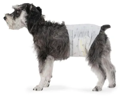 Produktbild von Amazon Basics Hundewindel für Rüden, Einwegwindeln, Mittel (Pack of 50), Weiß
