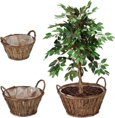 Produktbild von Runder Blumentopf aus Holz - 3er-Set