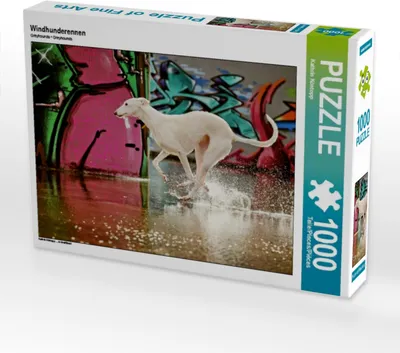 Produktbild von Calvendo Windhunderennen 1000 Teile Puzzle quer 640x480mm, Köntopp Kathrin; 7405312