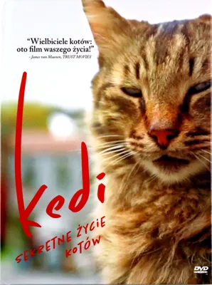 Produktbild von Kedi - Von Katzen und Menschen (nur Originalversion) [DVD]