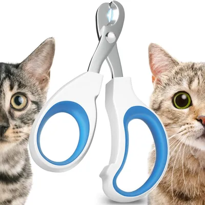 Immagine prodotto di Forbici per tagliare le unghie di gatti e piccoli animali, realizzate in acciaio inossidabile