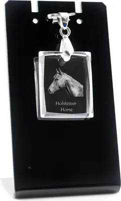 Zdjęcie produktu dla Holenderski koń - Wiszący amulet z motywem konia, naszyjnik z fotografią, wyjątkowa biżuteria firmy Art-Dog