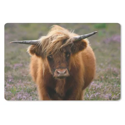 Produktbild von MuchoWow® Schreibtischunterlage Schottische Hochlandbewohner - Heidelandschaft - Tiere 60x40 cm - XXL Mauspad - Großes Mauspad