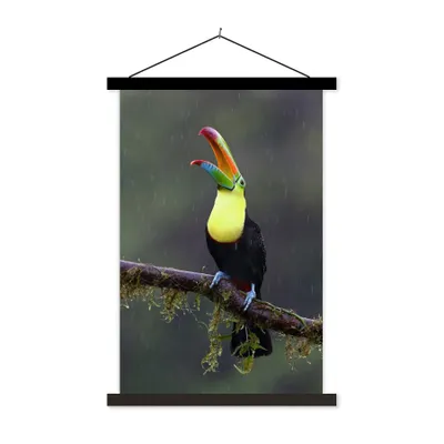 Produktbild von MuchoWow® Textilposter Tukan im Regen 40x60 cm mit schwarzem Rahmen - Wanddekorationen