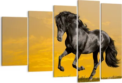 Produktbild von Bild auf Leinwand - Leinwandbild - Tiere Pferd Laufen Wiese - 150x100cm - Wand Bild - Wanddeko - Leinwanddruck - Bilder - Kunstdruck - Wanddekoration - Leinwand bilder - Wandkunst - EG150x100-2248