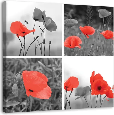 Produktbild von Leinwandbild rote mohnblumen set 60x60 cm Feeby rot wandbild bereit zum aufhängen
