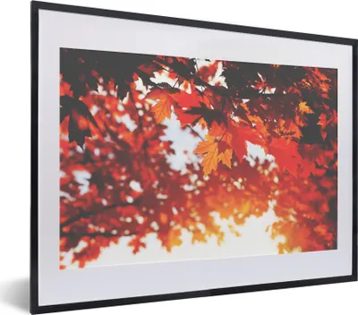 Produktbild von MuchoWow® Gerahmtes Poster Herbstliche Blätter - Rustikale Dekoration - Sonne 40x30 cm - Poster mit Schwarzem Bilderrahmen Wandposter Rahmen Foto Bilder - Bilderrahmen - Poster im Rahmen