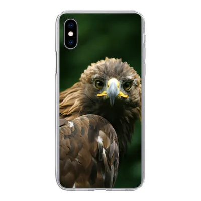 Produktbild von MuchoWow® Handyhülle Schutzhülle Hülle für iPhone Xs Adler - Braun - Raubvogel Silikon Softcase Handy Hülle - Handytasche