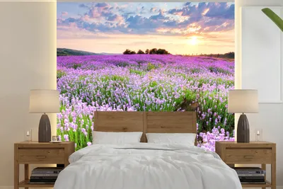 Produktbild von MuchoWow® Fototapete für Wohnzimmer oder Schlafzimmer Wandtapete Vinyl Motivtapete Blumen - Lavendel - Lila - Himmel - Sonnenuntergang - Wiese - Natur - 280x280 cm - Hintergrundbild