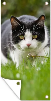 Produktbild von MuchoWow® 80x160 cm Outdoor-Poster Gartendeko Sichtschutz Garten Poster für den Garten  Katze - Gras - Schwarz - Weiß - Mädchen - Kinder - Jungen - Kinder