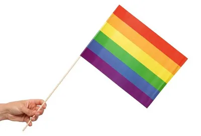 Produktbild von 10 Papier Fahnen Regenbogen 20 x 30 cm Handfahnen Pride LGBTQ