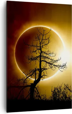 Produktbild von Bild auf Leinwand - Leinwandbild - Einteilig - Sonnenfinsternis die Sonne Baum - 80x120cm - Wand Bild - Wandbilder - Leinwanddruck - Wanddekoration - Leinwand bilder - Wandbild - PA80x120-4349