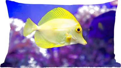 Produktbild von MuchoWow® Zierkissen Sofakissen Wohnzimmer Dekokissen 50x30 cm Fisch - Koralle - Gelb - Wohnzimmerdekoration - Polster mit Photo