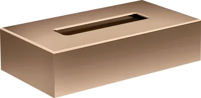 Immagine prodotto di hansgrohe AXOR UNIVERSAL Circular boîte à lingettes cosmétiques, 42873300, 42873300