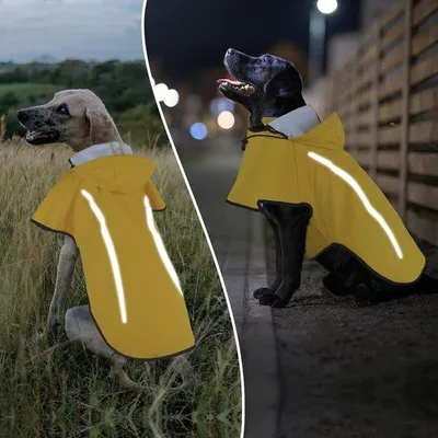 Imagen del producto de Ibenzoa®: Chaqueta impermeable para perros – impermeable y transpirable, ligera, con un ajuste ergonómico, detalles reflectantes y cierres prácticos – protección contra la lluvia, el viento y el barro