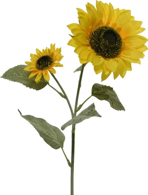 Produktbild von Sonnenblume künstlich am Stiel 72cm