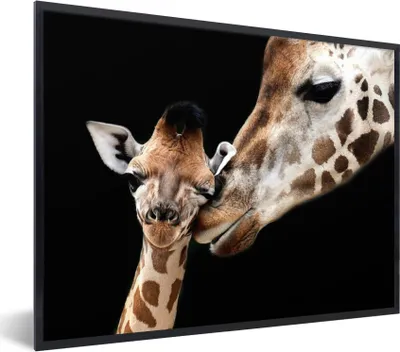 Produktbild von MuchoWow® Gerahmtes Poster Giraffe - Tiere - Schwarz - Porträt - Tiere 80x60 cm - Poster mit Schwarzem Bilderrahmen Wandposter Rahmen Foto Bilder - Schwarzem - Mit Gestell