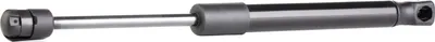 Produktbild von RIDEX 219G0518 Gasfeder Heckklappendämpfer für VW Polo Classic (6V2) 287mm