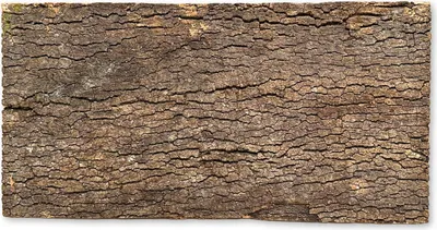 Obrázek produktu pro BioVirgin Korkové pozadí tmavé 60x30cm korkové pozadí pro terária
