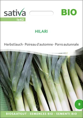 Produktbild von Herbstlauch Hilari |  Lauchsamen von Sativa Rheinau