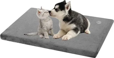Image de Lit pour petits chiens, imperméable, lavable, dimensions : 59 x 41 x 7,6 cm, coussin pour cage, tapis pour chien avec housse amovible et lavable, gris