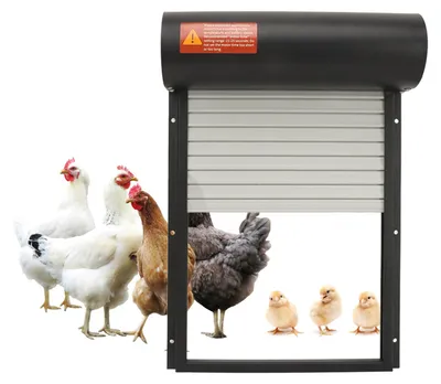 Automatische Kippenhokdeuropener, Timer, LED, batteriebetrieben, Schwarz