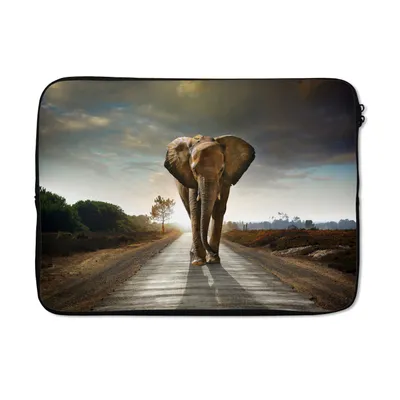 Produktbild von MuchoWow® Laptop Hülle 14 ZollElefant - Straße - Tiere - Sonnenuntergang - Landschaft Laptoptasche - Laptoptasche - Stoßsicher - Schutzhaube