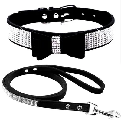 Immagine prodotto di Collare per cani con guinzaglio, taglia XS, nero, in pelle scamosciata, con strass