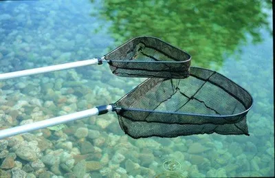Produktbild von Famanu Keschnetz für Teich und Pool - 38 cm Durchmesser, teleskopierbar