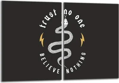 Image de Set de plaques de recouvrement pour cuisinière 2x40x52 cm Couvercle pour plaque vitrocéramique, verre anti-projections, serpent noir