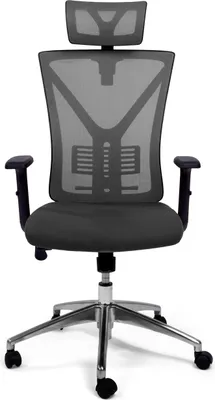 A close-up, front-facing view of a gray ergonomic office chair with a headrest, set against a white background.