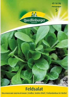 Produktbild von Feldsalat Holländischer breitblättriger