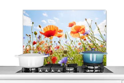 Obrázek produktu pro KitchenYeah® Splashback kitchen - Kuchyňský splashback - Ochrana stěny sporáku a dřezu - Květiny - Mák - Jaro - Příroda - Červená - Modrá 80x55 - Alu-Dibond (alternativa skleněného splashbacku) - Tepelně odolný