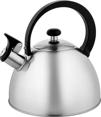 Produktbild von FLORINA Wasserkessel (2 l) | Edelstahl Teekessel BRILLO | Flötenkessel mit Bakelitgriff | Kratzfester | Wasserkocher für Induktionsherd, Gasherd und Elektroherd | Farbe: