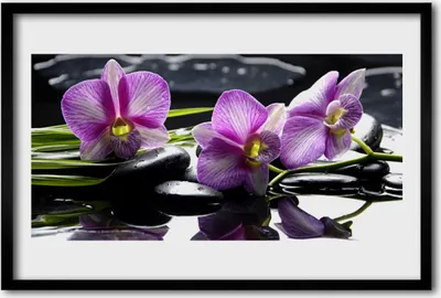Produktbild von Bild 60x40 MDF-Rahmen Wandkunst Blume Orchidee Pflanze