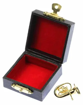 Produktbild von Tubabrosche Brosche Tuba Anstecker Pin +Box Miniblings Instrument vergoldet