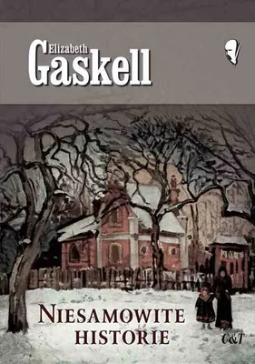Produktbild von Niesamowite historie