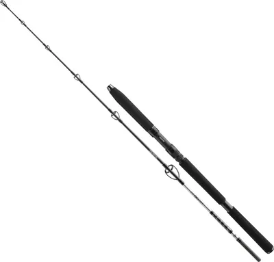Produktbild von Daiwa BG Sea Jigger 1,70m 150-400g