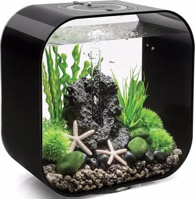 Image de Aquarium 30l contours noir - Oase - LIFE 30MCR BLACK -