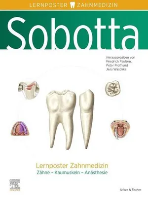 Obrázok produktu pre Sobotta Lernposter Zahnmedizin