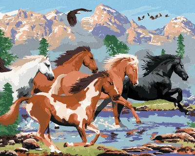 Produktbild von Zuty - Malen nach Zahlen - WILDPFERDE IN DEN BERGEN (HOWARD ROBINSON), 40x50 cm, mit Keilrahmen (bereits gespannt)