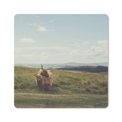 Produktbild von MuchoWow® Mauspad Mousepad Schottische Highlander - Gras - Wolken - Tiere 20x20 cm - Mousepads - Maus Mat - Pad - Mausunterlage - Desk Mat - Bureauartikeln